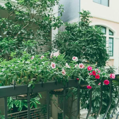 Wabi Sabi Hanoi Residences – Photos 15